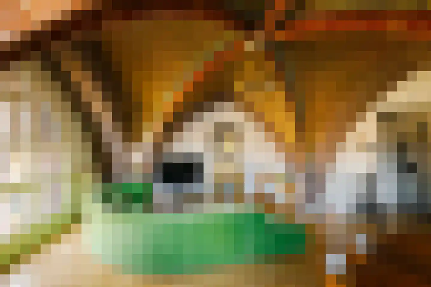 Paul Krugerstraat 41 Y Haarlem thumbnail 4