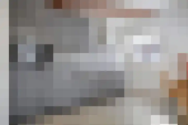 Paul Krugerstraat 42 D Hengelo thumbnail 19