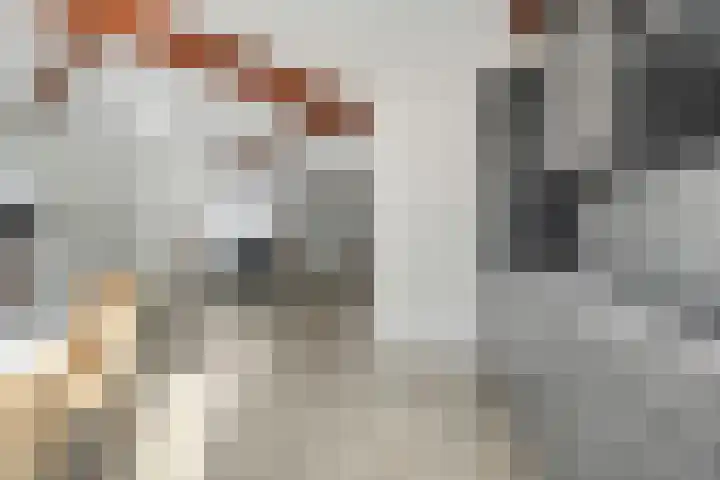 Paul Krugerstraat 42 D Hengelo thumbnail 20