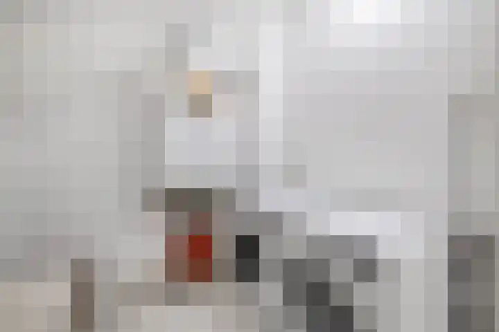 Paul Krugerstraat 43 b Ridderkerk thumbnail 43