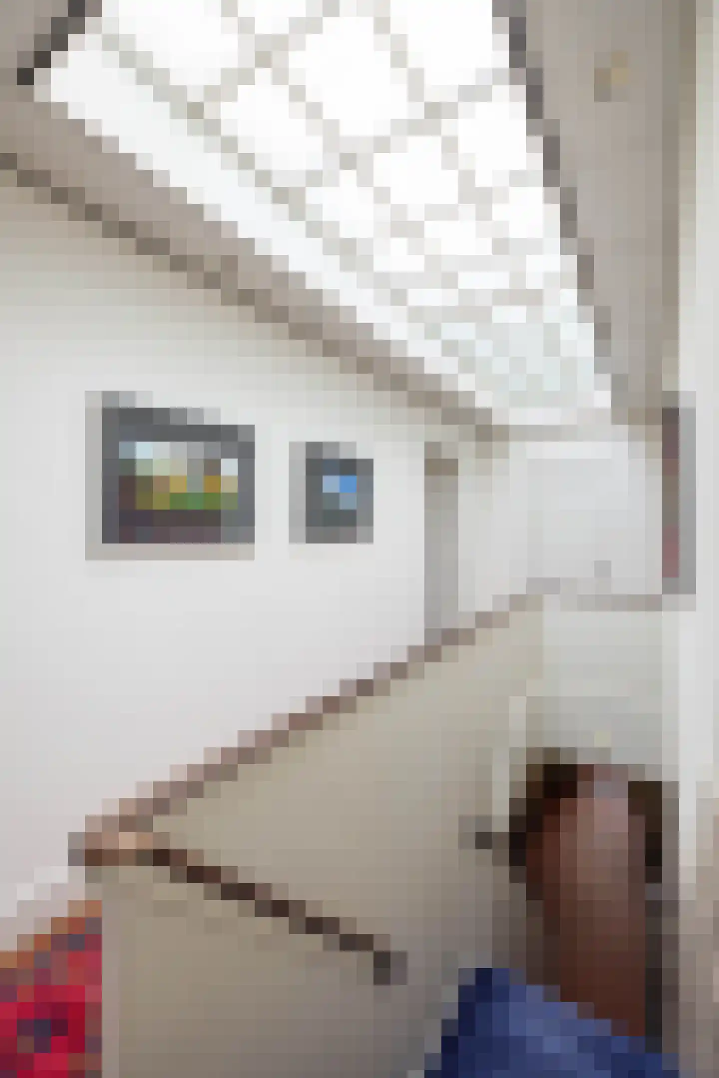 Paul Krugerstraat 43 Hengelo thumbnail 24