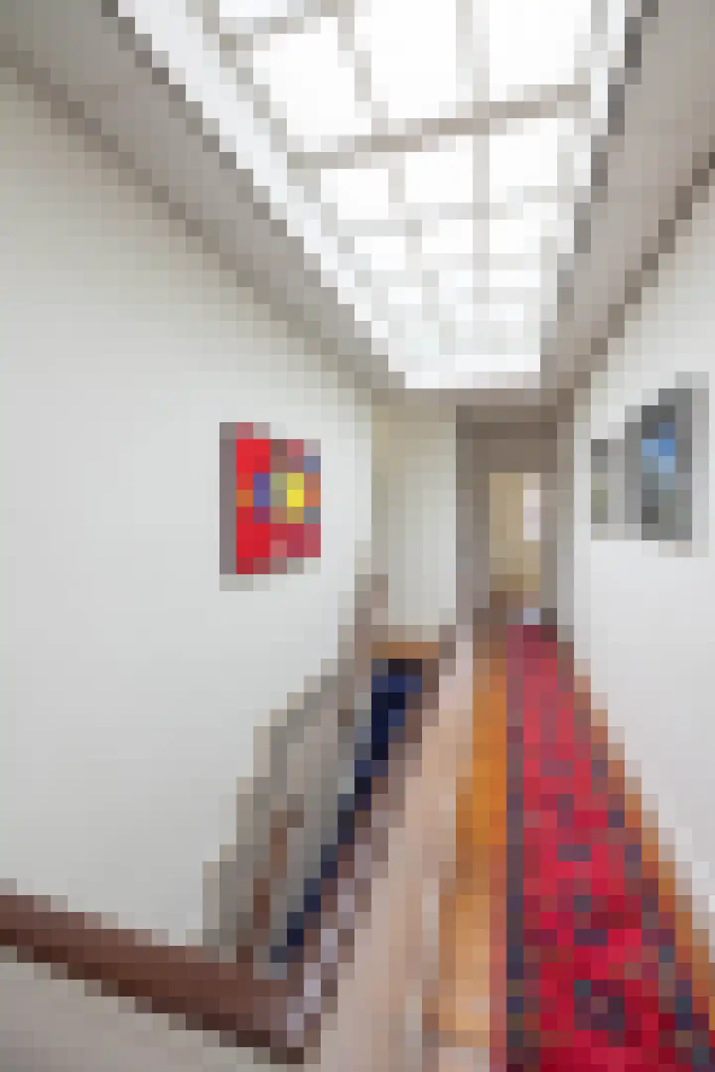 Paul Krugerstraat 43 Hengelo thumbnail 25