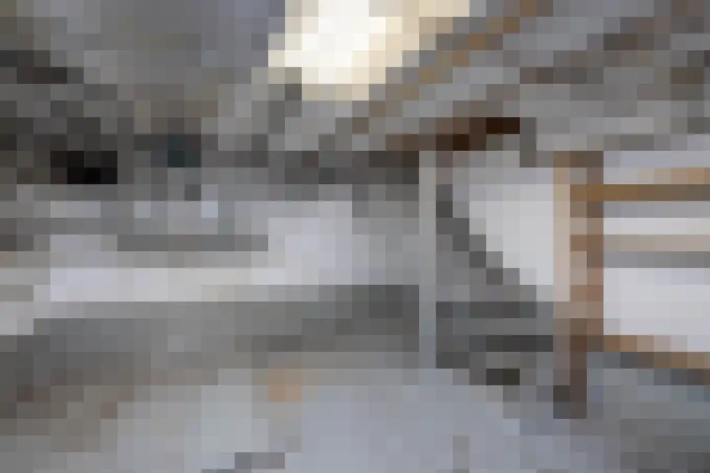 Paul Krugerstraat 43 Hengelo thumbnail 35