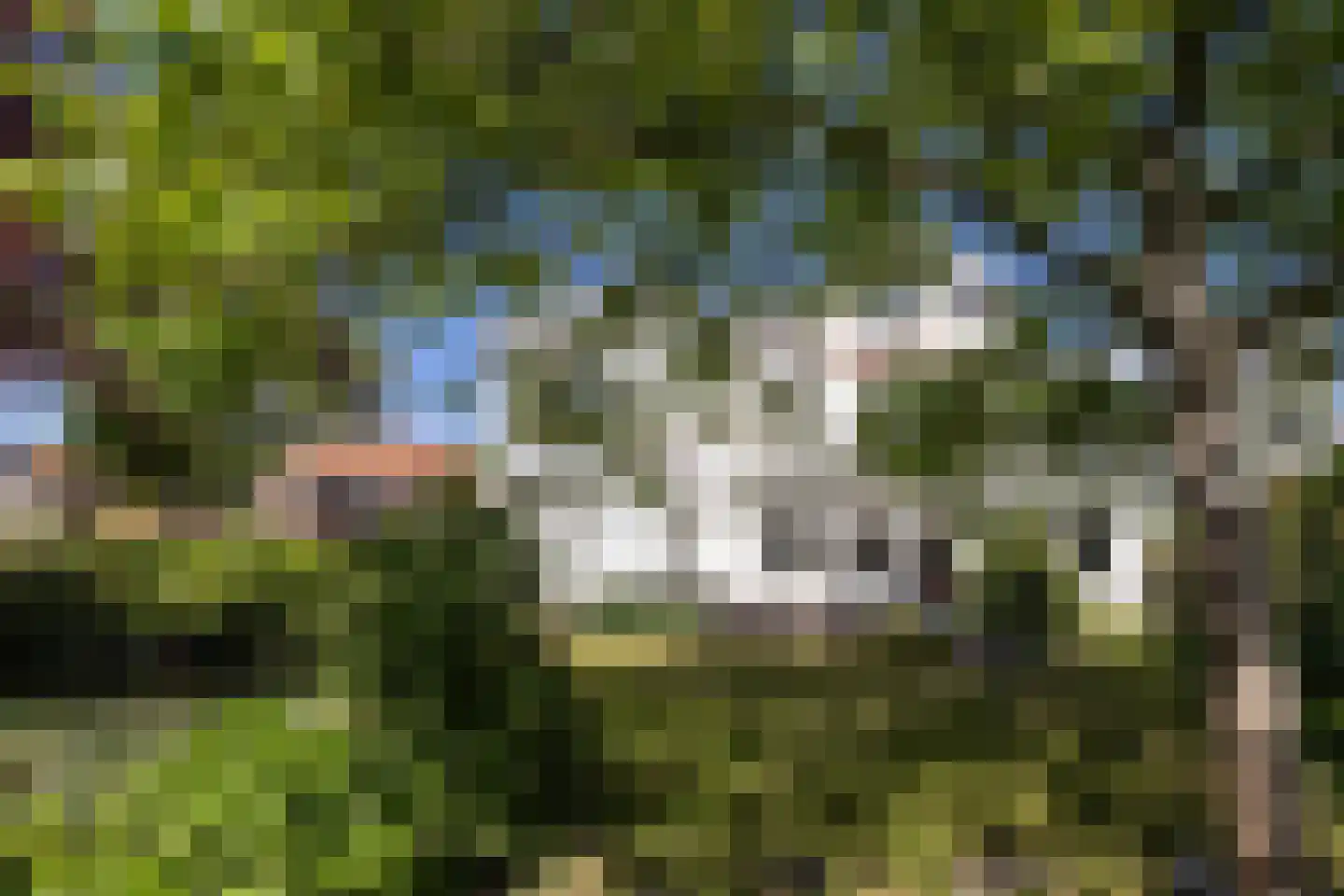 Paul Krugerstraat 43 Hengelo thumbnail 5