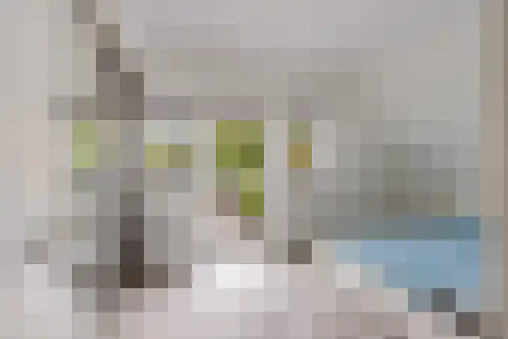 Paul Krugerstraat 45 Ridderkerk thumbnail 18