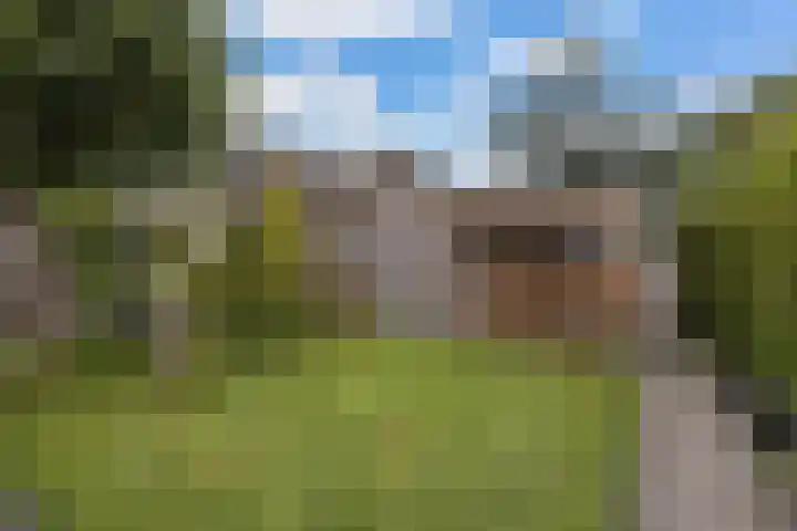 Paul Krugerstraat 45 Ridderkerk thumbnail 28