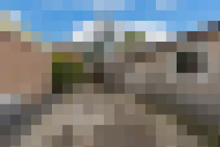 Paul Krugerstraat 45 Ridderkerk thumbnail 39