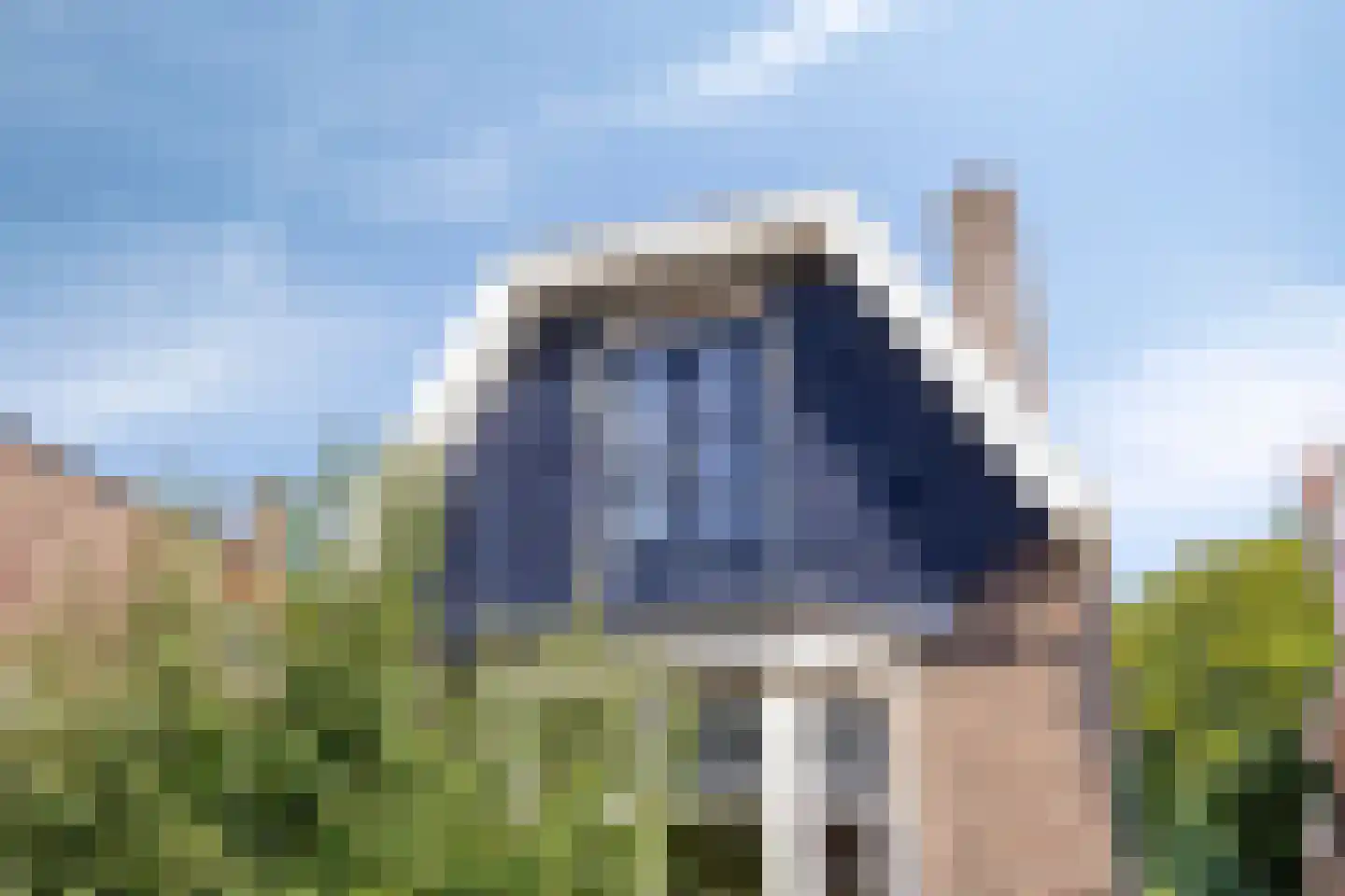Paul Krugerstraat 48 Assen thumbnail 15