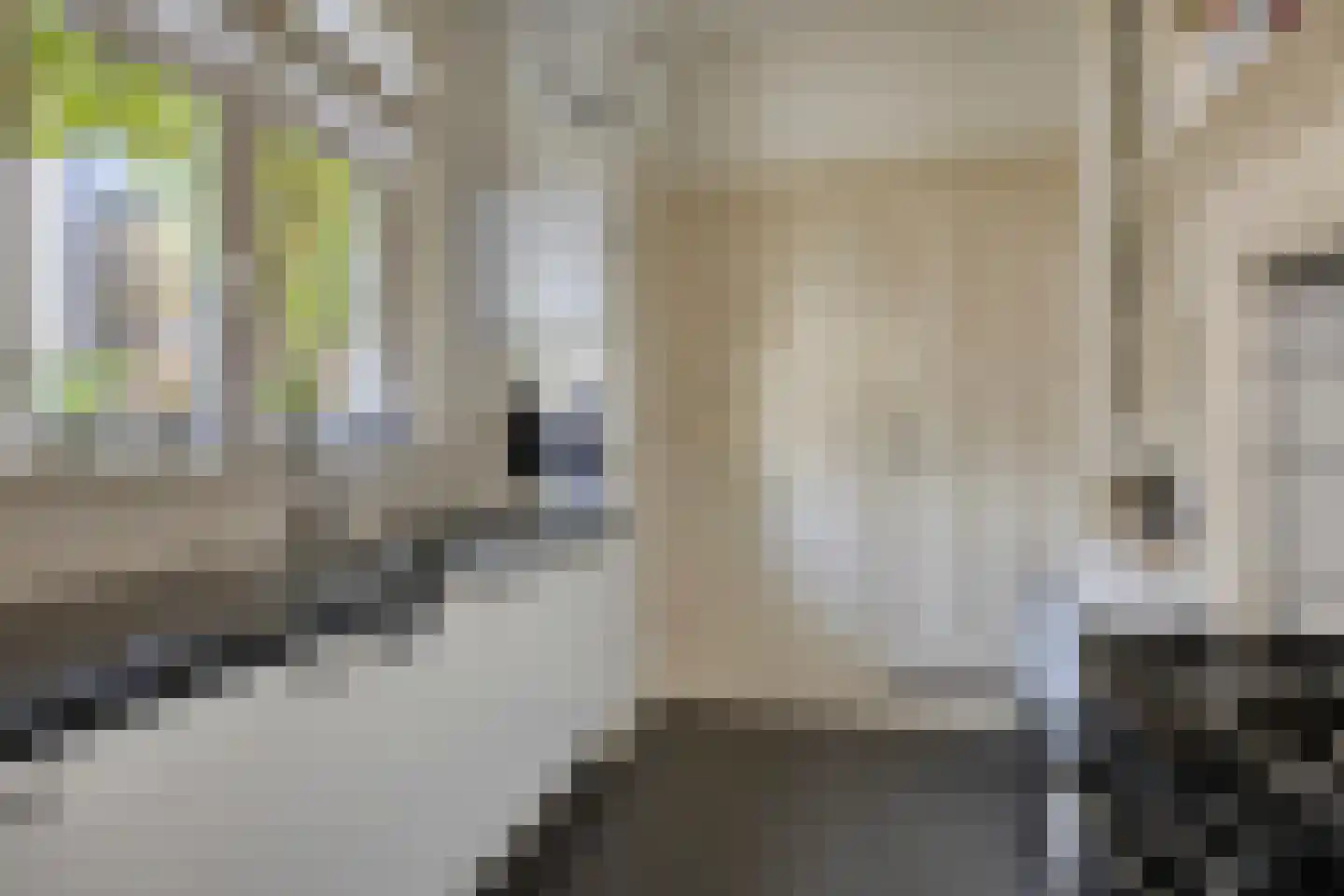 Paul Krugerstraat 48 Assen thumbnail 31