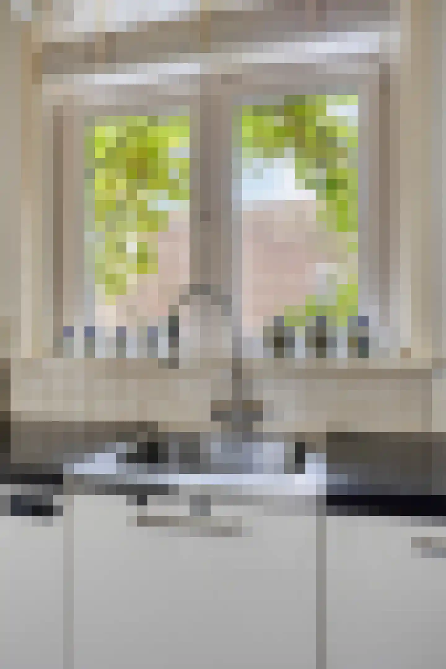 Paul Krugerstraat 48 Assen thumbnail 32