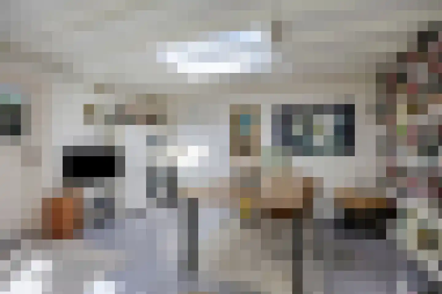 Paul Krugerstraat 48 Assen thumbnail 39