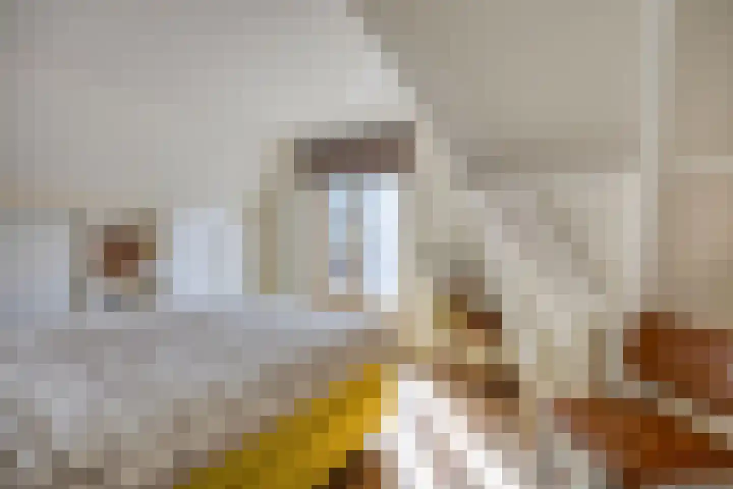 Paul Krugerstraat 48 Assen thumbnail 45