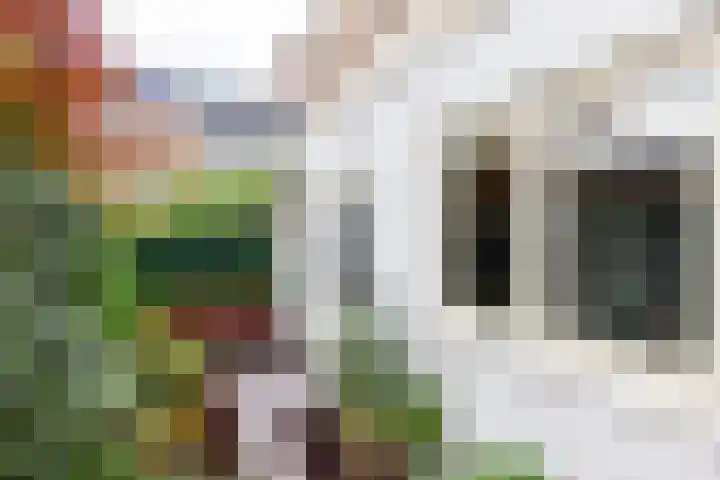 Paul Krugerstraat 48 Haarlem thumbnail 21