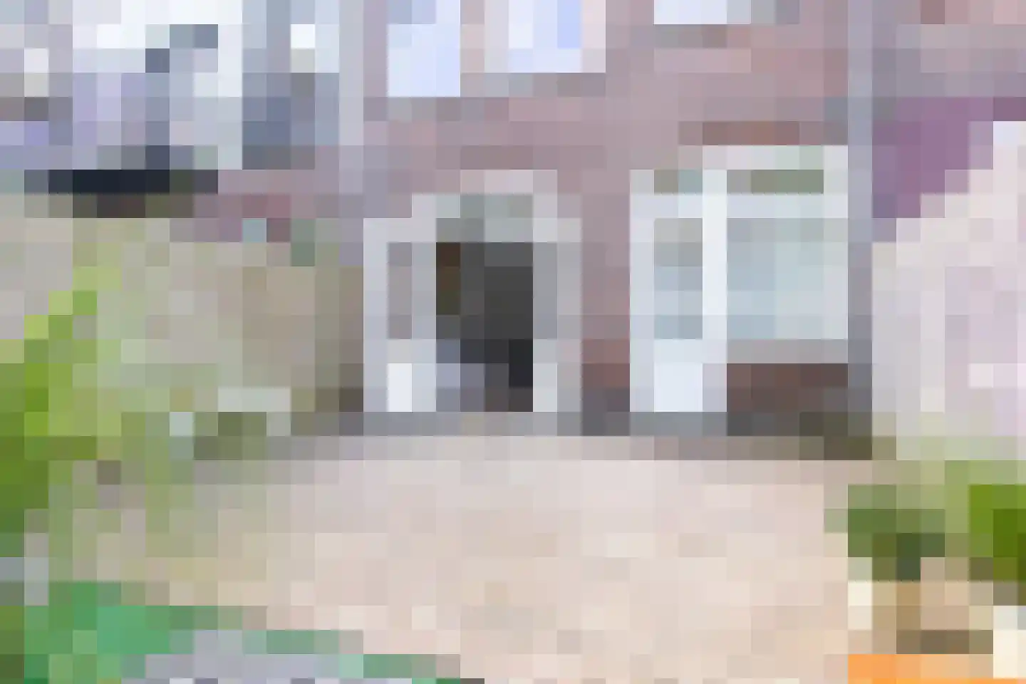 Paul Krugerstraat 5 ZW Haarlem thumbnail 24