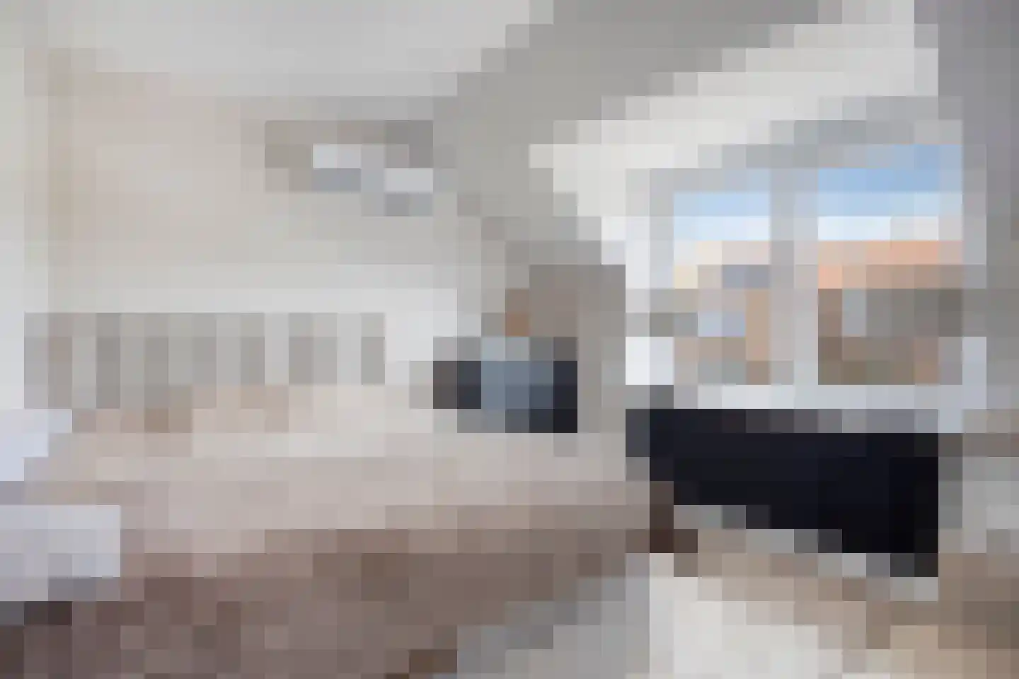Paul Krugerstraat 50 b Ridderkerk thumbnail 29