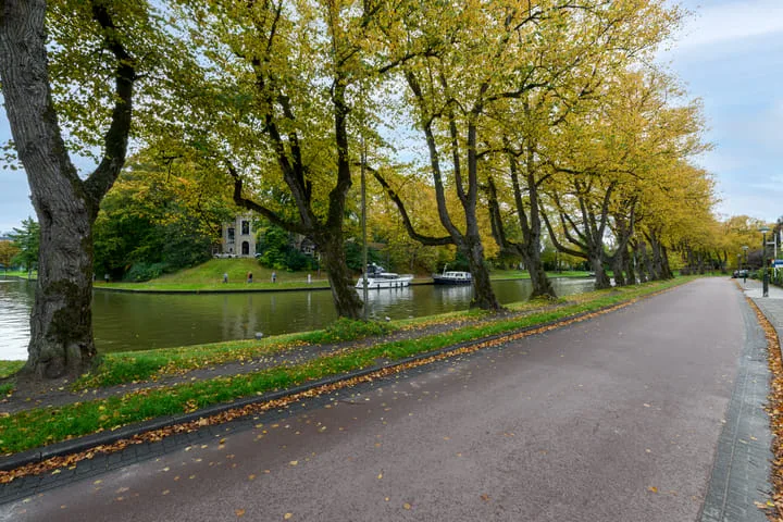 Paul Krugerstraat 51 Leeuwarden thumbnail 55