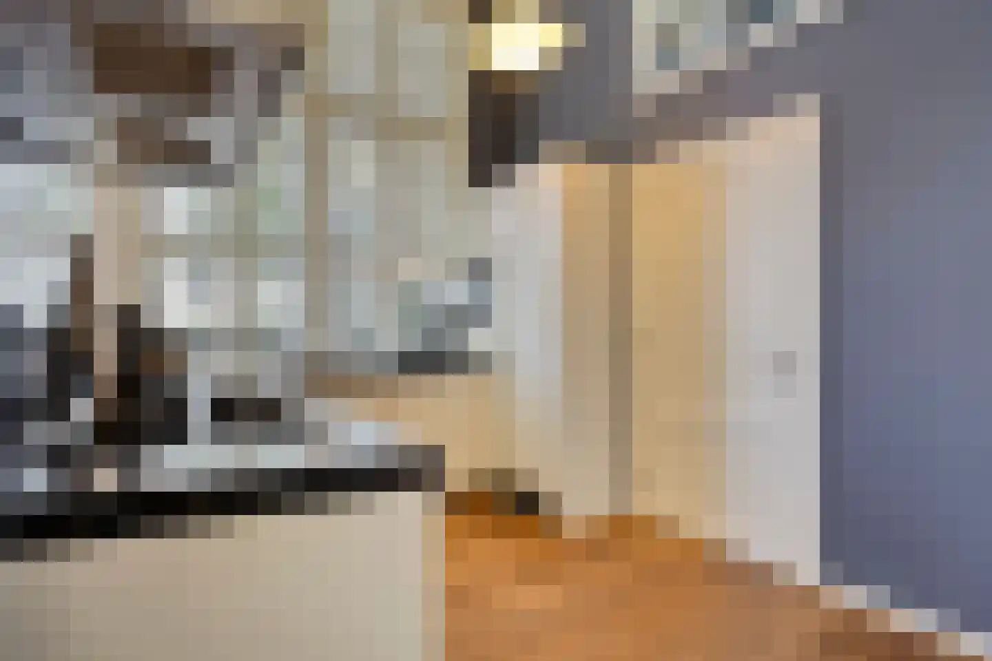 Paul Krugerstraat 56 Hengelo thumbnail 16