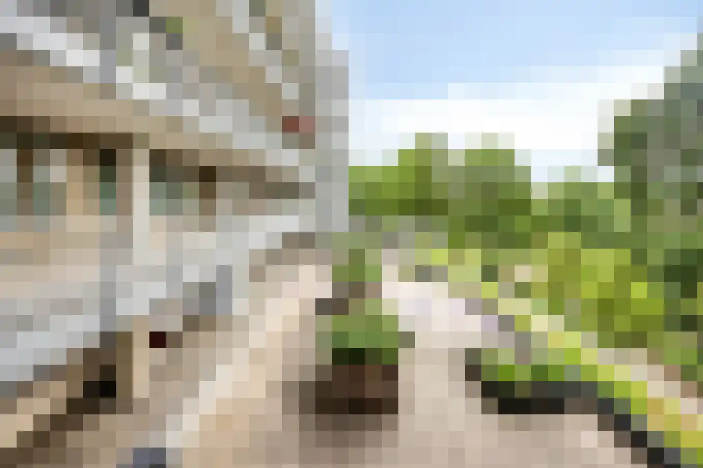 Paul Krugerstraat 6 E Rotterdam thumbnail 16