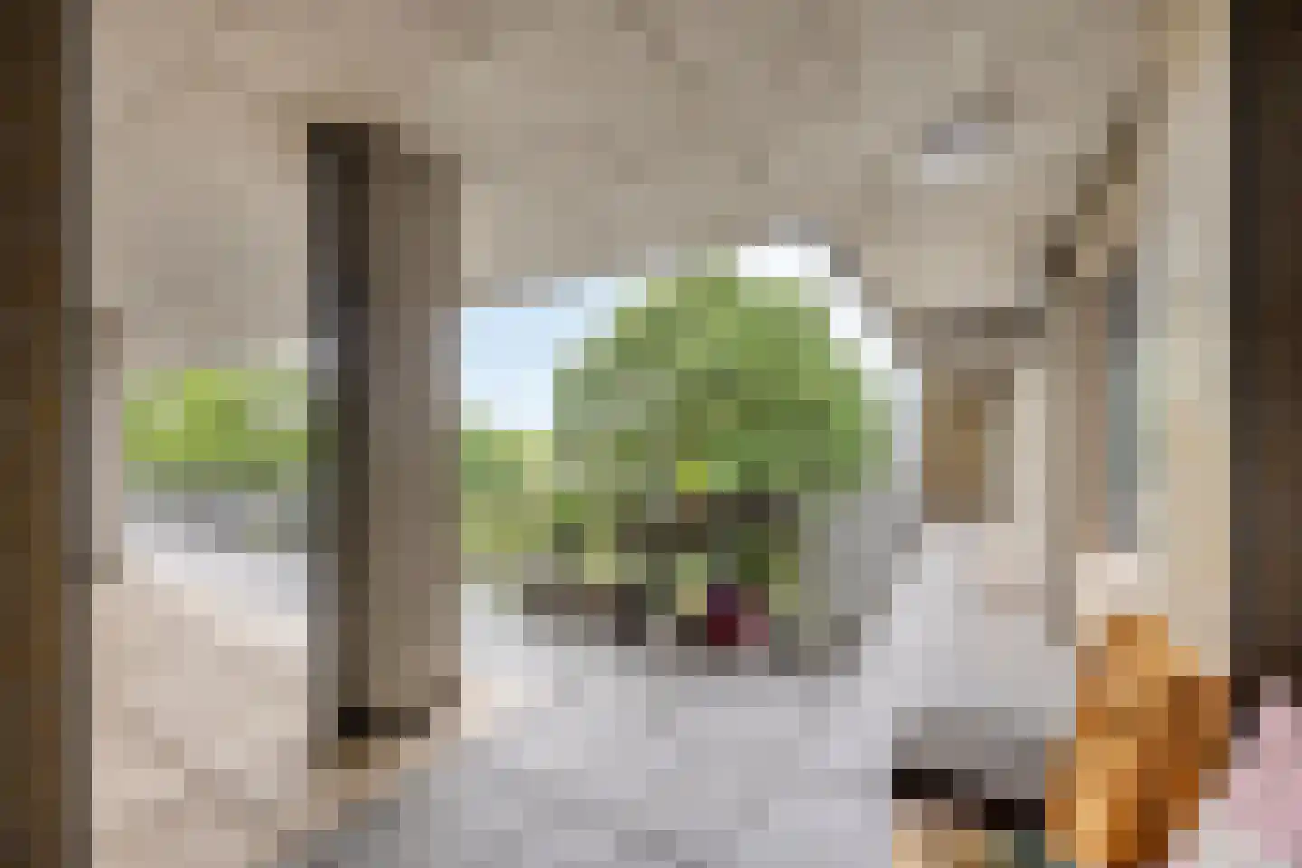 Paul Krugerstraat 6 E Rotterdam thumbnail 17
