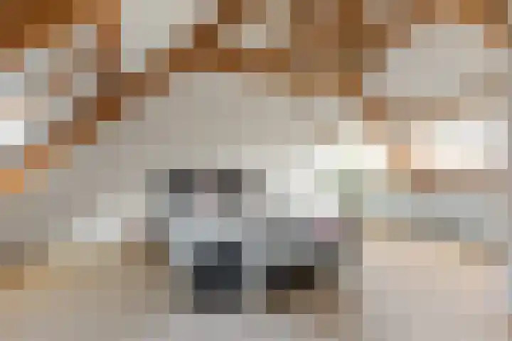 Paul Krugerstraat 6 Hengelo thumbnail 17