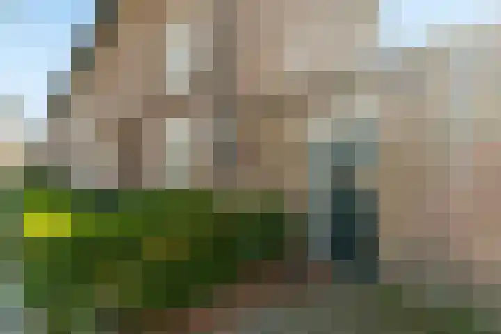 Paul Krugerstraat 65 Nijmegen thumbnail 34