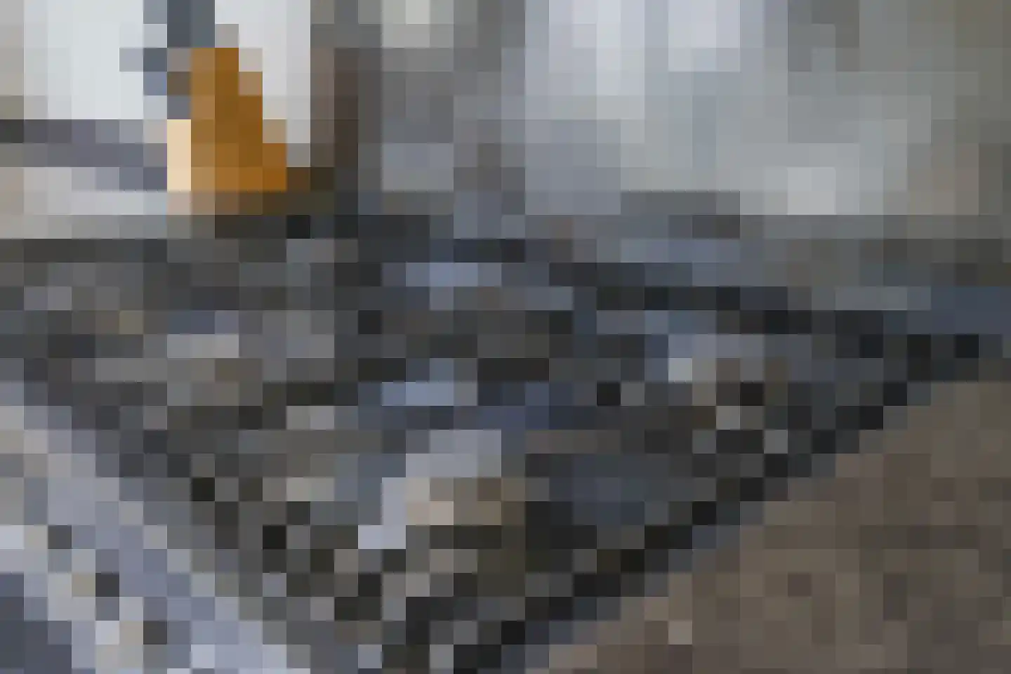Paul Krugerstraat 7 A Katwijk thumbnail 25