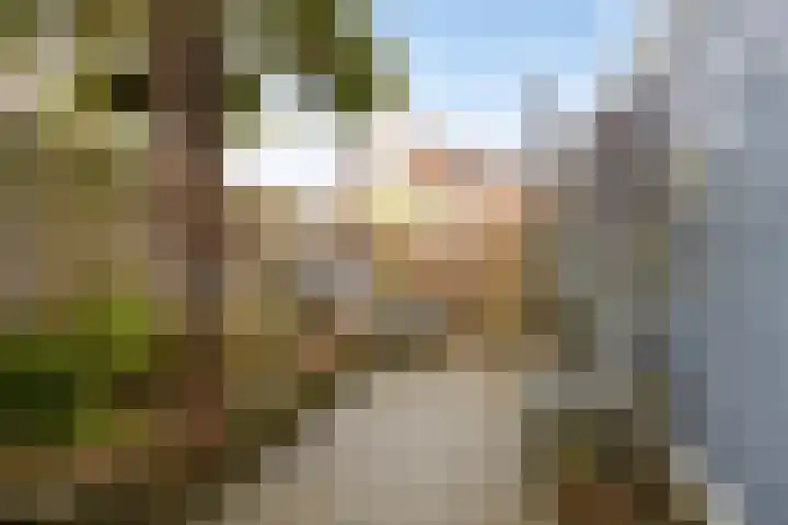 Paul Krugerstraat 7 Harlingen thumbnail 18