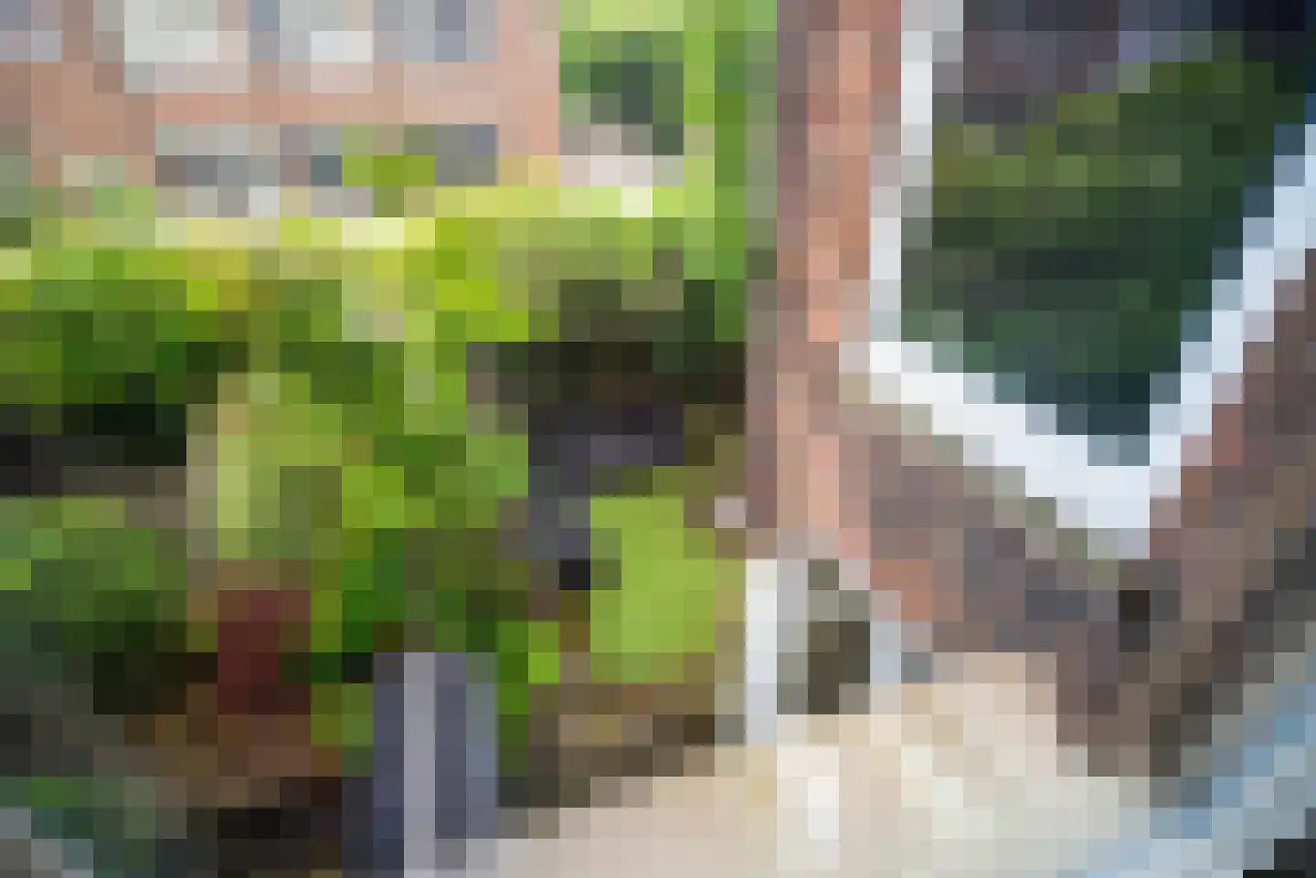 Paul Krugerstraat 7 Leiden thumbnail 38