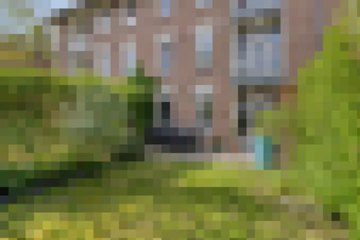 Paul Krugerstraat 73 Nijmegen thumbnail 5