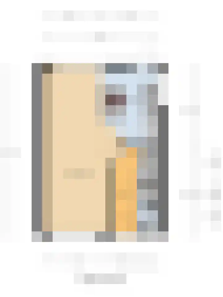 Paul Krugerstraat 83 Ridderkerk thumbnail 37