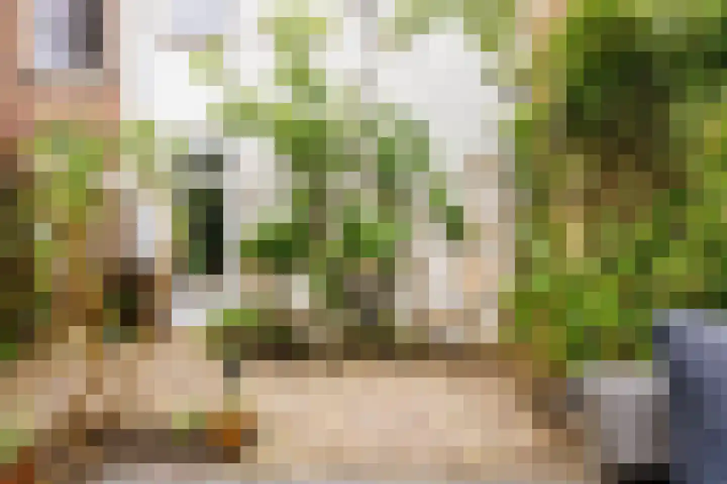 Paul Krugerstraat 9 Leiden thumbnail 17