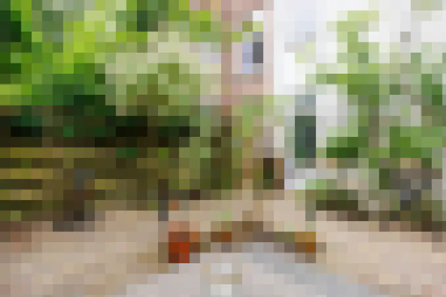 Paul Krugerstraat 9 Leiden thumbnail 19