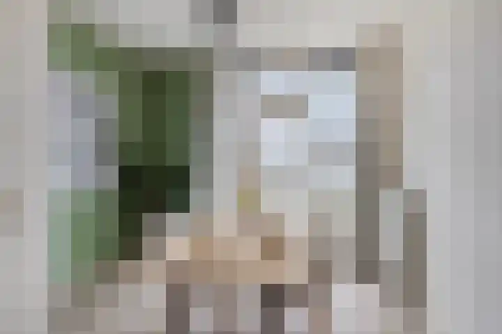 Paul Krugerstraat 9 Nijmegen thumbnail 14