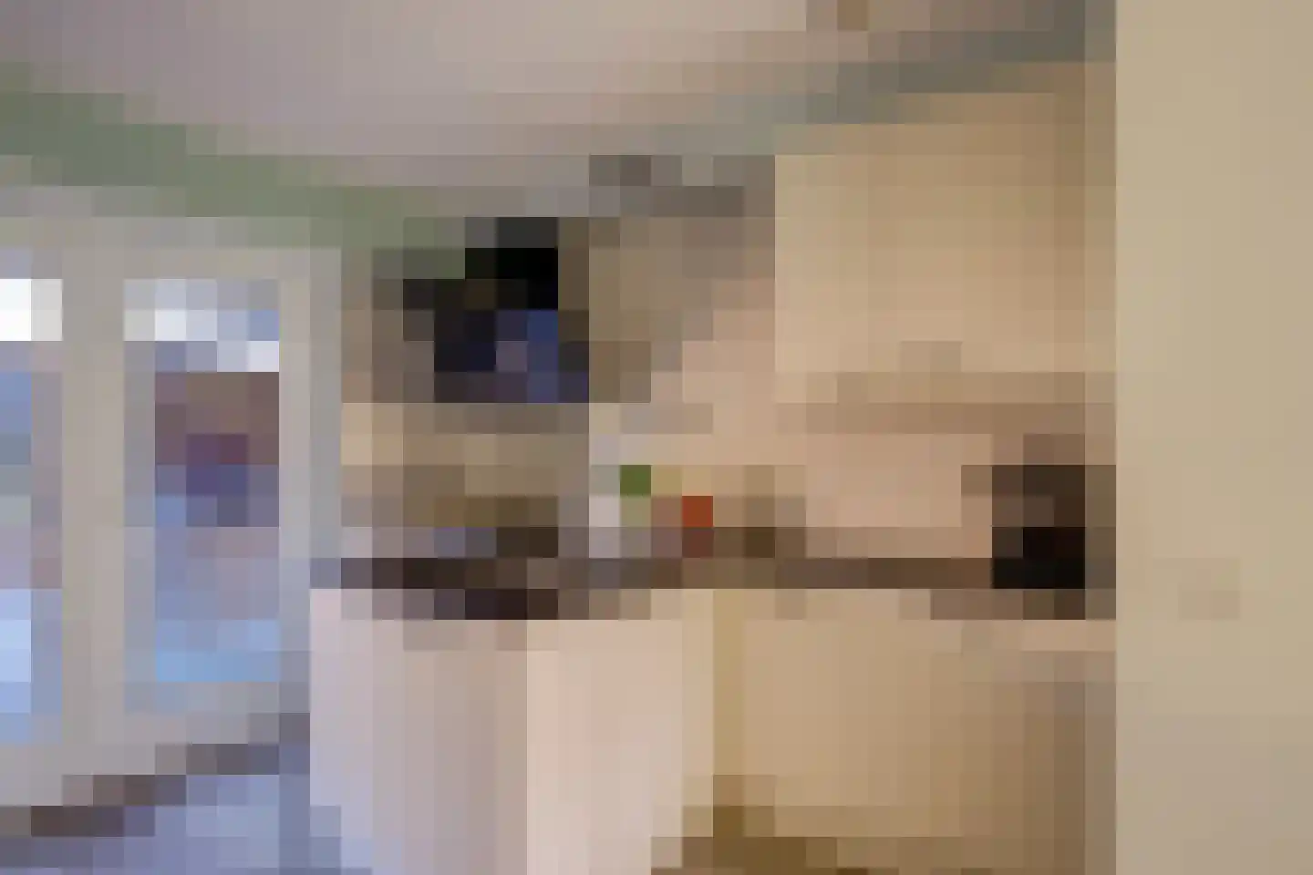 Paul Linckehof 16 Utrecht thumbnail 15