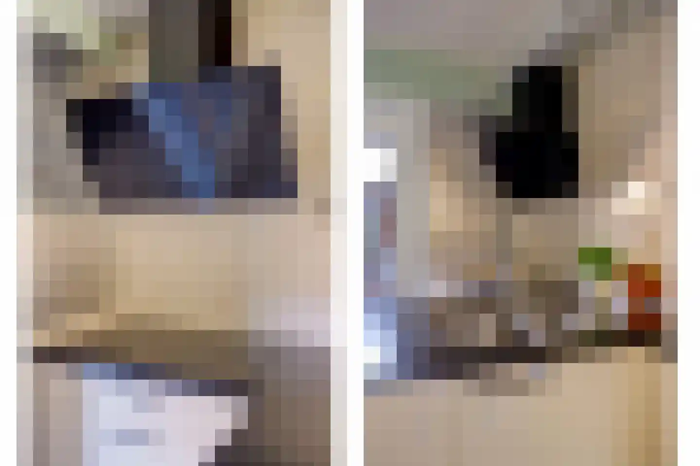 Paul Linckehof 16 Utrecht thumbnail 17