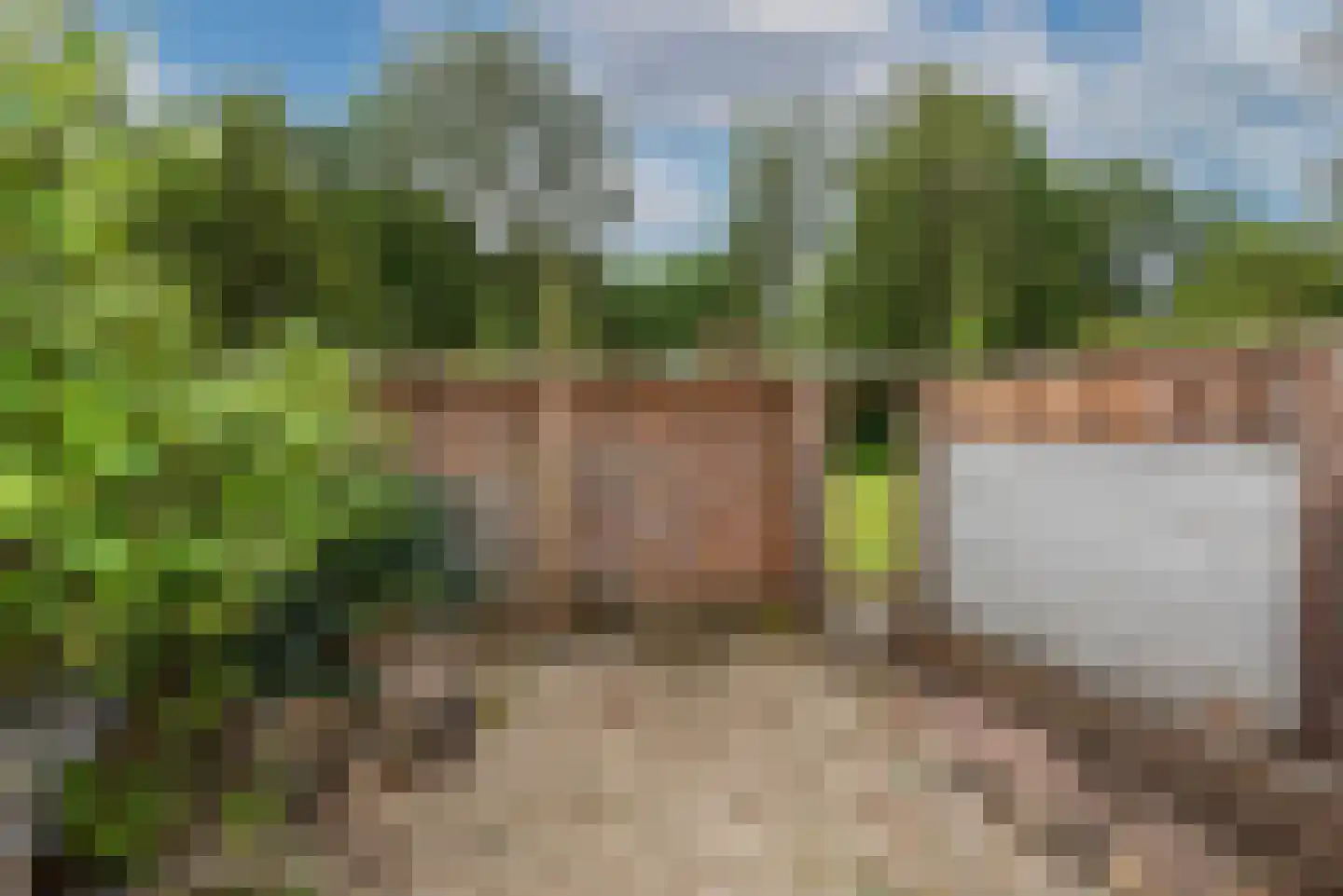 Paul Pellastraat 172 Hengelo thumbnail 35