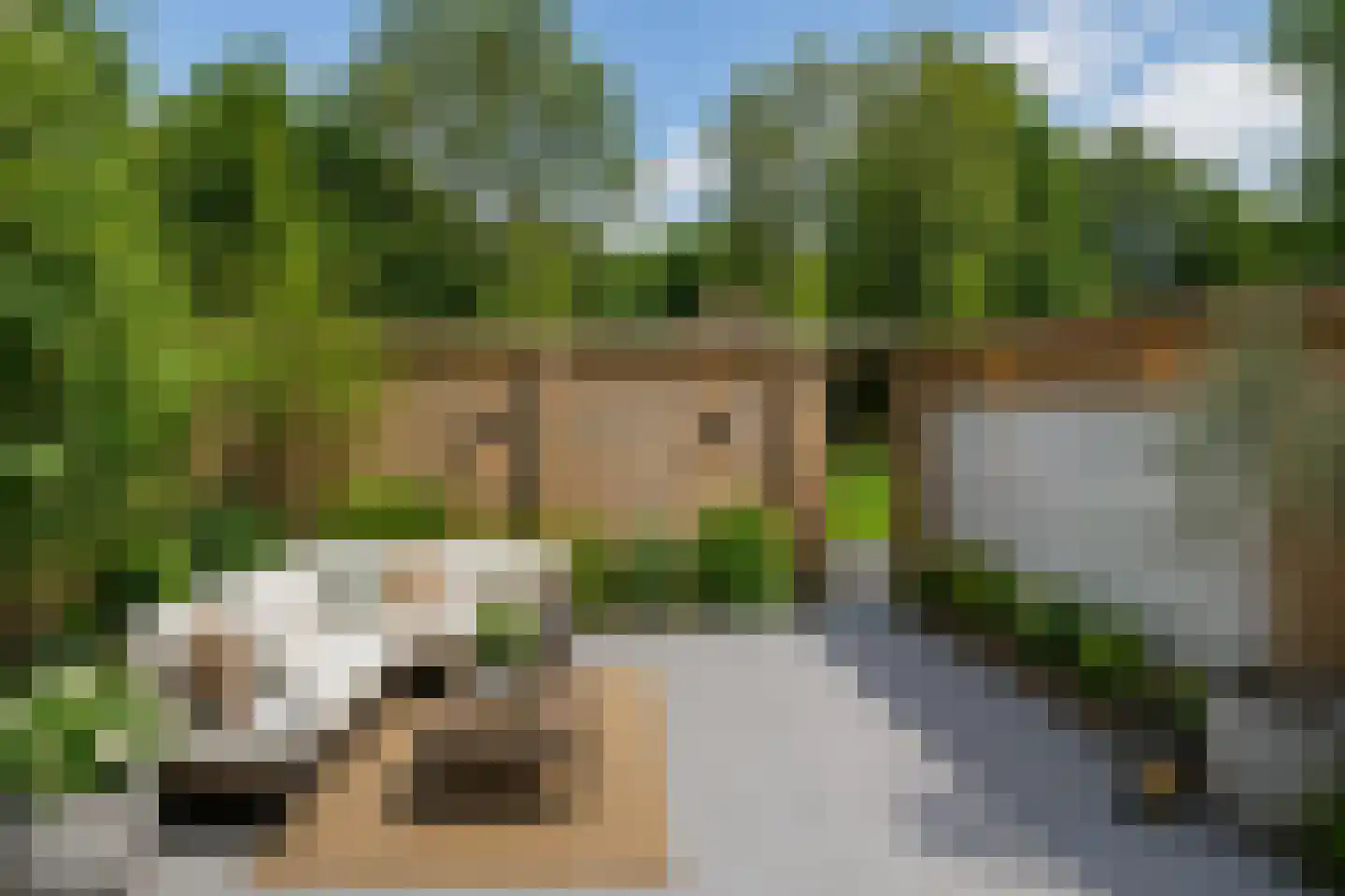 Paul Pellastraat 172 Hengelo thumbnail 36