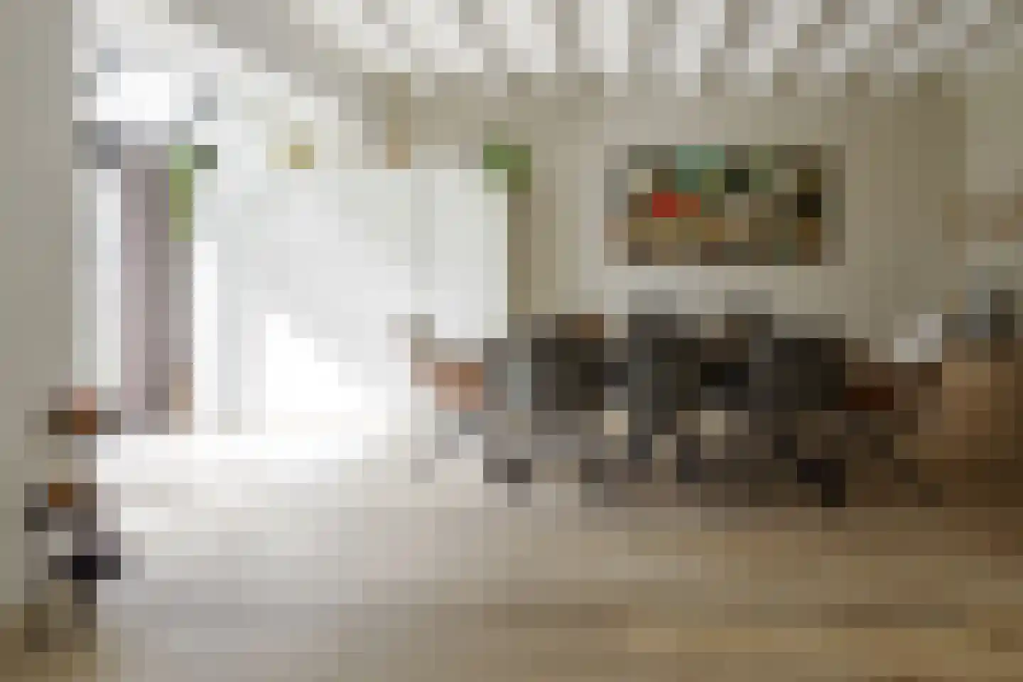 Paul Pellastraat 54 Hengelo thumbnail 14