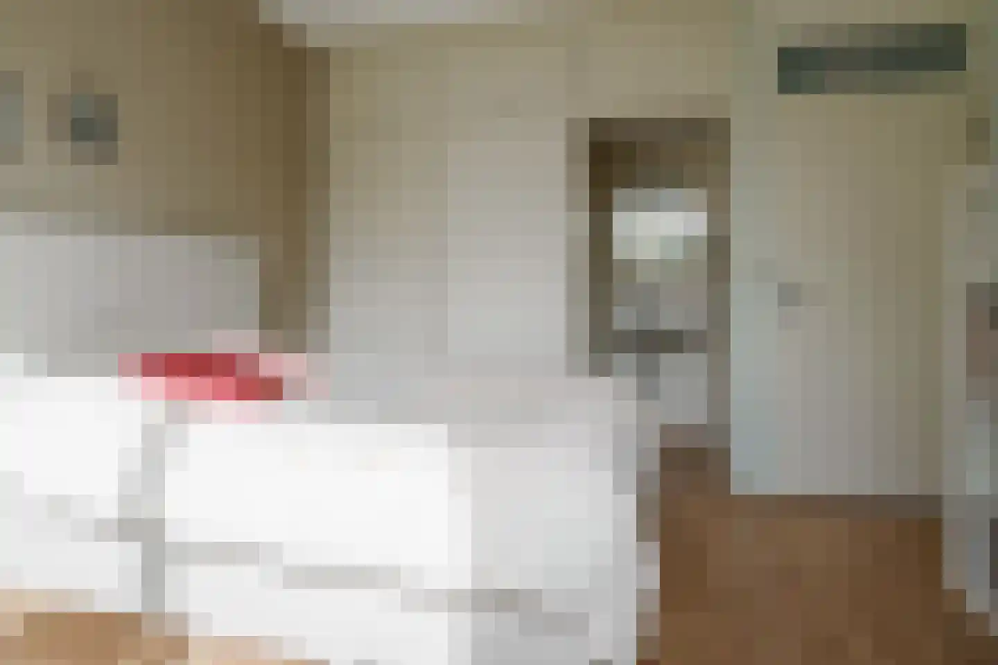 Paul Pellastraat 54 Hengelo thumbnail 31