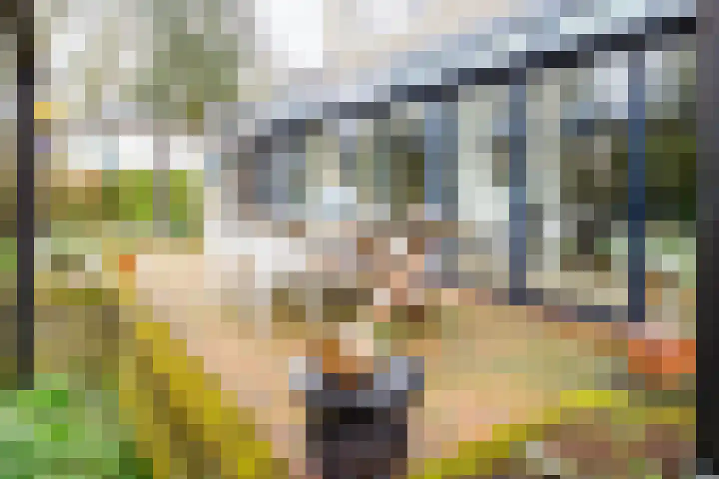 Paul Pellastraat 54 Hengelo thumbnail 46