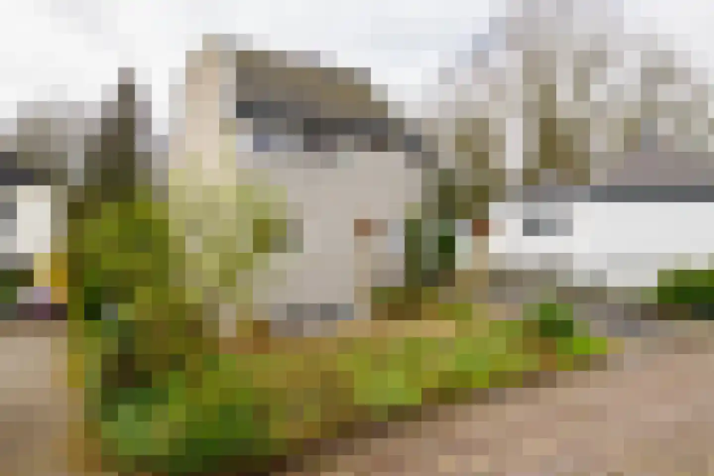 Paul Pellastraat 54 Hengelo thumbnail 56
