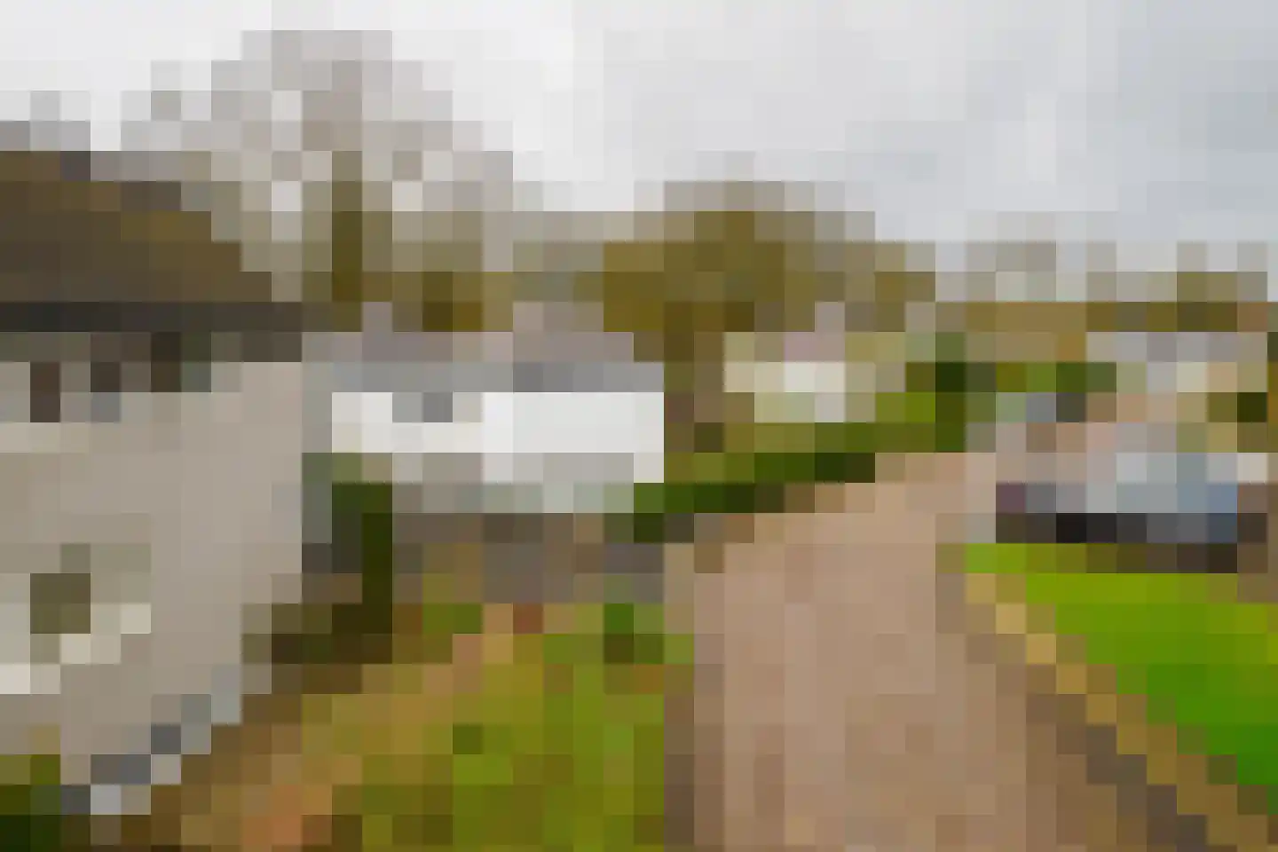 Paul Pellastraat 54 Hengelo thumbnail 57