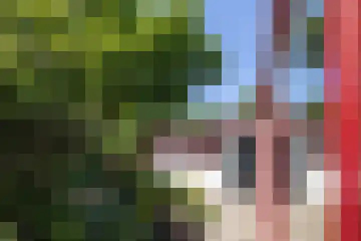 Paul Pellastraat 66 Hengelo thumbnail 21