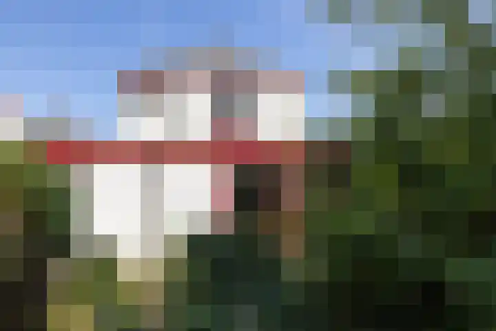 Paul Pellastraat 66 Hengelo thumbnail 22