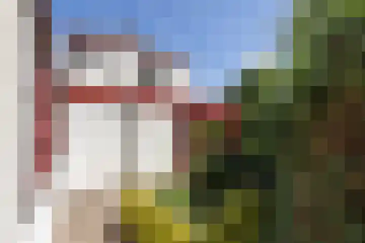 Paul Pellastraat 66 Hengelo thumbnail 23