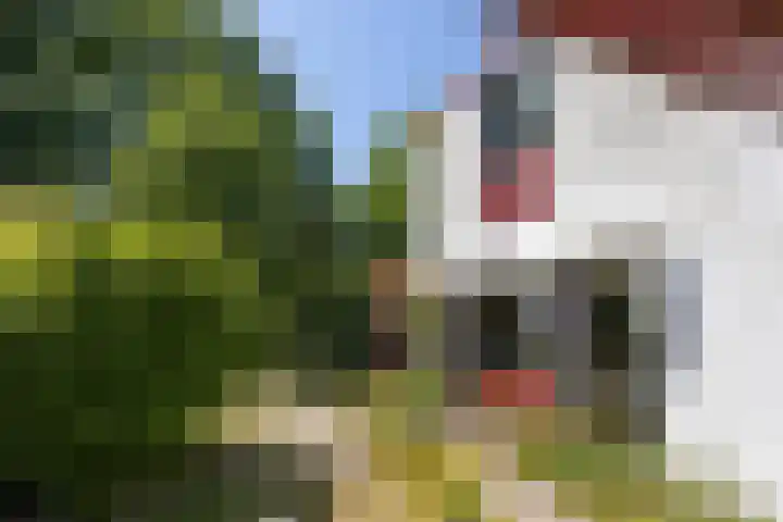 Paul Pellastraat 66 Hengelo thumbnail 26