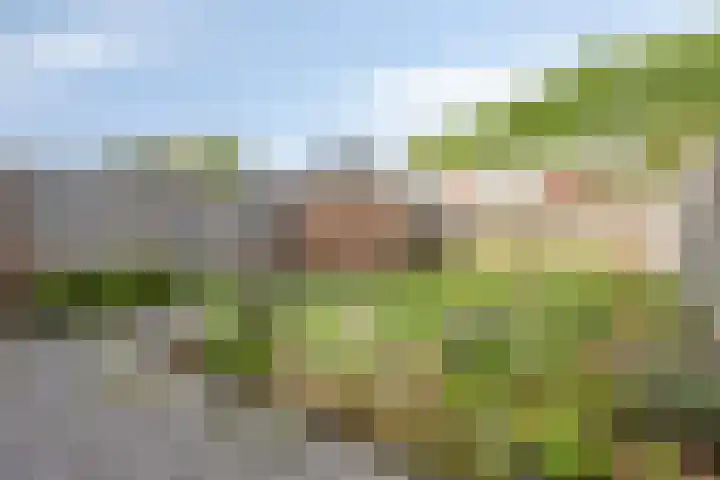 Paul Rinkstraat 19 Rosmalen thumbnail 16