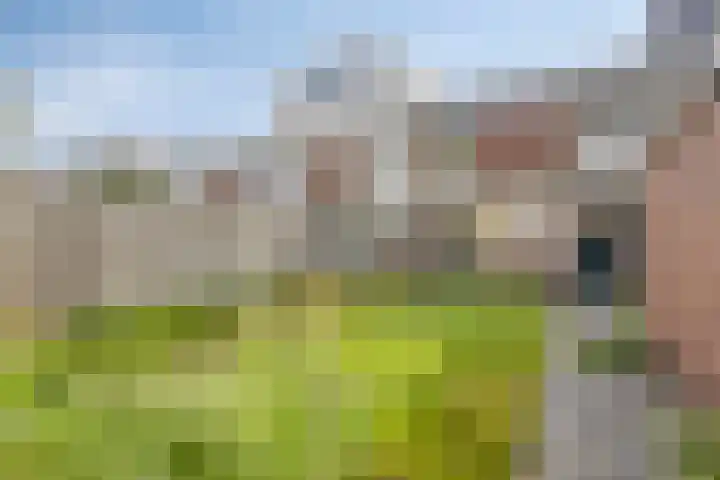 Paul Rinkstraat 19 Rosmalen thumbnail 17