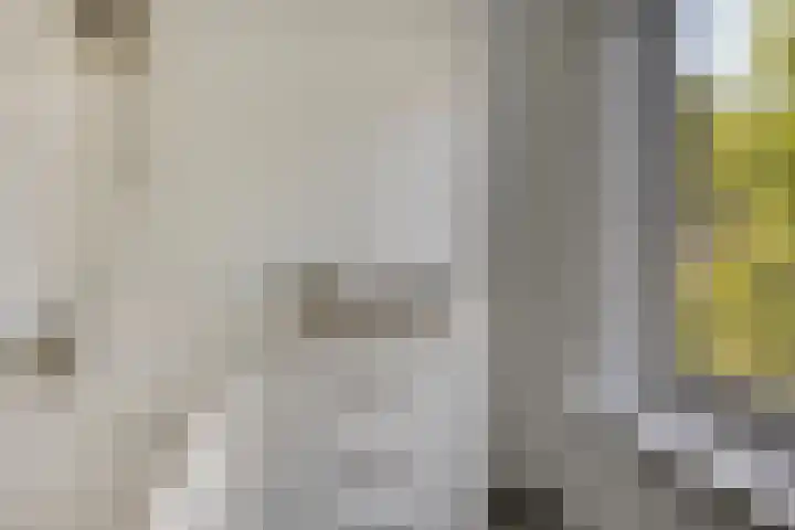 Paul Rodenkolaan 103 Zutphen thumbnail 18