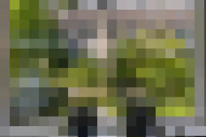 Paul Rodenkolaan 103 Zutphen thumbnail 19